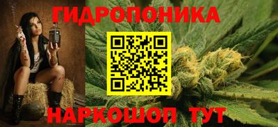 амф Кимры